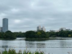-南宁南湖公园