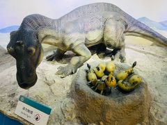 -国家自然博物馆