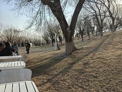 -小意思咖啡店(草桥店)