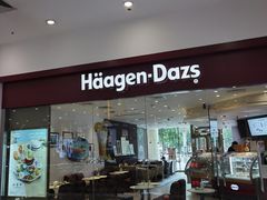 -哈根达斯(石家庄北国店)