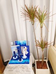 -MZ SKIN CARE逆齢驻颜中心