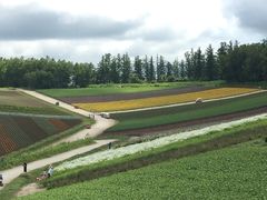 -富田农场