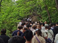 -嵖岈山风景区