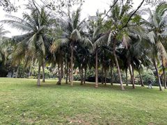 -白沙门生态公园