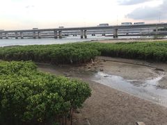 -龙舟池