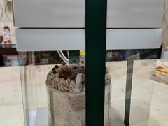 -山与蓝·轻糖鲜果蛋糕(勒泰店)