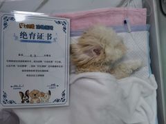 -达爱动物医院·犬猫分区·CT·复杂眼科(远洋山水分院)