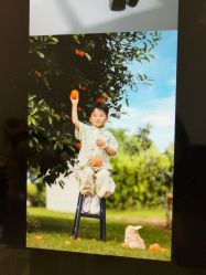 -维尼叔叔家庭影像馆