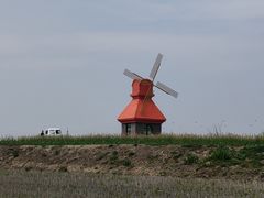 -杭州湾海上花田景区