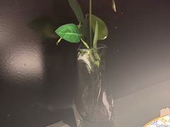 -知楚•精致湖北菜(武商MALL店)