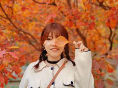 -永定河休闲森林公园