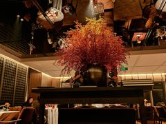 -秀儿四九城·新京菜(亚运村鸟巢店)