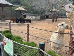 -大连森林动物园