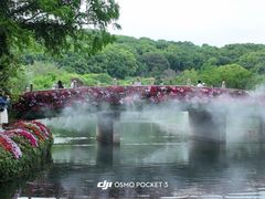 -苏州上方山国家森林公园