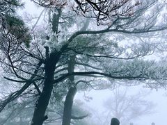 -秦岭天竺山景区