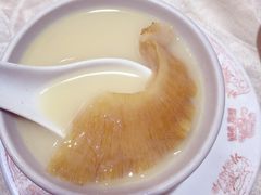 -凤城礼记鱼翅海鲜酒家(新马路总店)