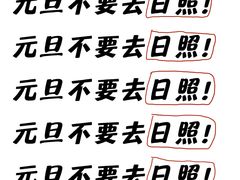 -日照海滨国家森林公园
