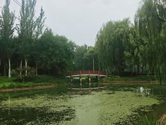-北坞公园