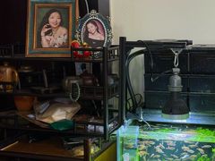 -鸿达摄影KEEP LOVE家庭肖像馆·身份证照(宝山万达广场店)