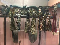 -美国自然历史博物馆