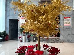 -两岸咖啡(平湖店)