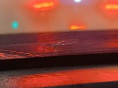 -鲨鱼皮汽车凹陷玻璃修复(静安店)