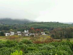 -塔川景区