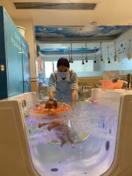 -广州安和泰医学月子会所