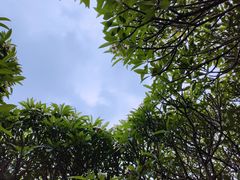 -晓港公园
