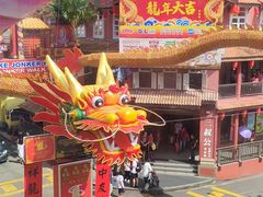 -马六甲鸡场街