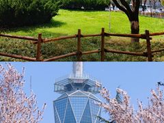-陕西广播电视塔