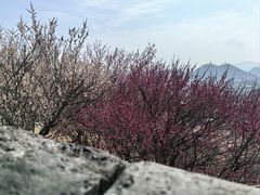 -台州府城(江南长城)