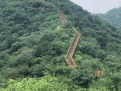 -大岭沟猕猴桃谷风景区