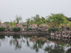 -无锡蠡湖国家湿地公园-蠡园