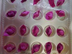 -金贝儿月嫂(高新尚品国际店)