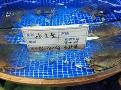 -海鲜城大家餐厅