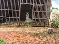 -昆明动物园