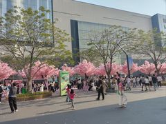 -东莞松山湖万象汇