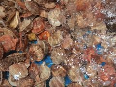 -和源祥·日照菜扛把子(万平口一店)