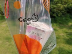 -CoCo都可(台东和兴店)