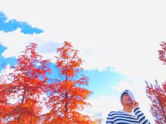 -清溪水库