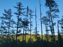 -北极村旅游风景区