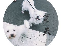 -汪说喵讲宠物乐园宠物酒店(红星美凯龙店)