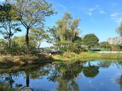 -金银湖国家城市湿地公园