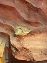 -Zoolung Zoolung动物主题公园(海信广场店)