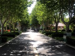 -辛玛王国游乐园