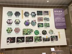 -北京中医药大学-中医药博物馆
