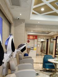 -碧莲盛·不剃发植发