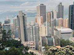 -香港大学