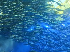 -波塞冬旅游度假区